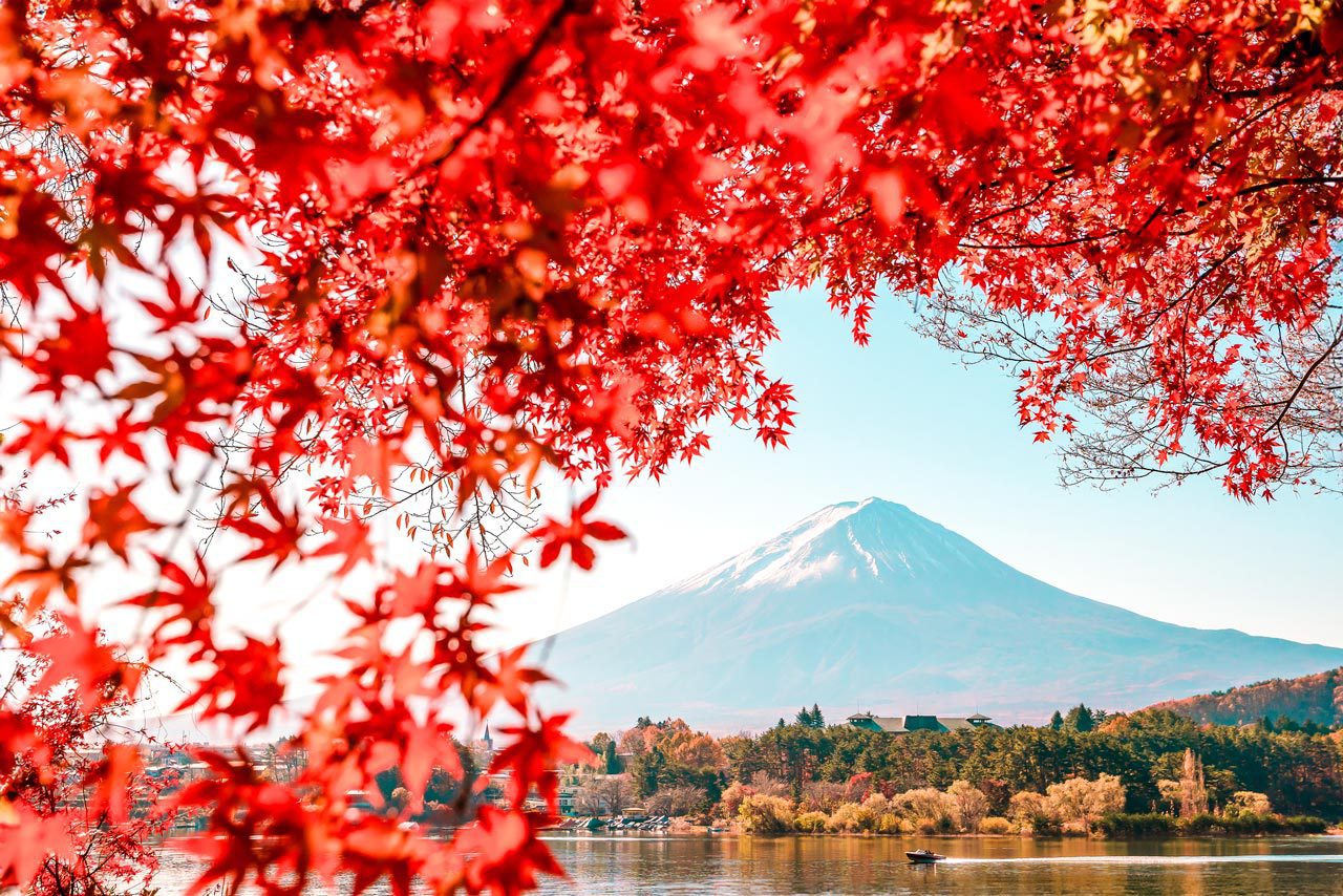 UnViaggioPerDue: Monte Fuji con foglie rosse sullo sfondo.