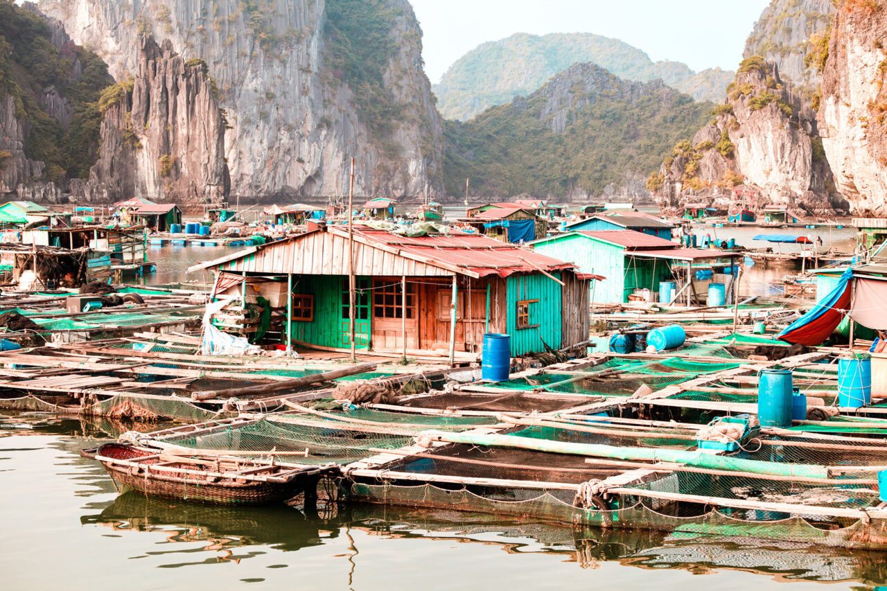 UnViaggioPerDue: villaggio di pescatori galleggiante con case di legno su uno specchio d'acqua calmo, circondato da rocce calcaree carsiche e vegetazione verde ad Halong Bay, in Vietnam. Piccole imbarcazioni sono attraccate lì vicino e reti da pesca sono visibili in primo piano.